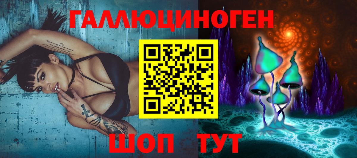 Кропоткин  Галлюциногенные грибы Cubensis  Вход с VPN 