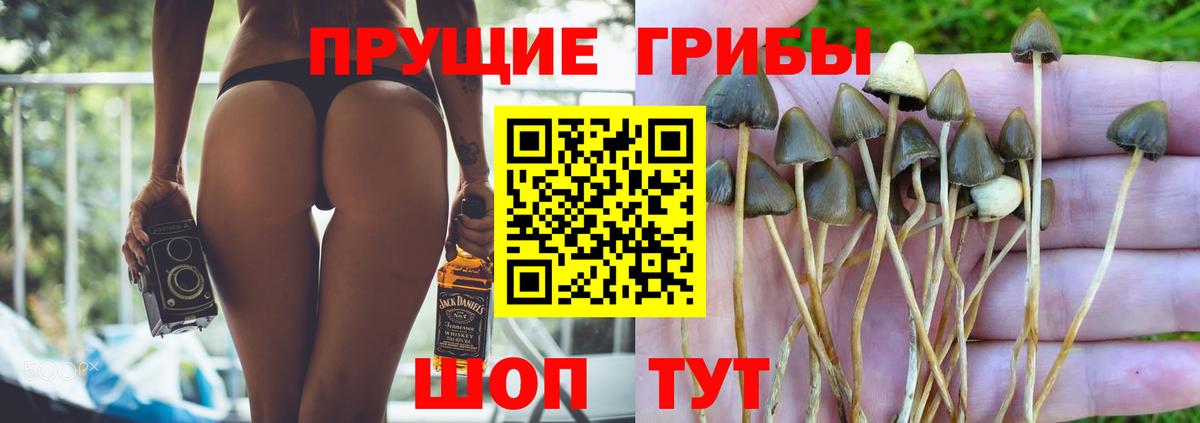 АМФЕТАМИН Кропоткин